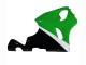 1996-2003 Kawasaki ZX7R Motorcycle Fairings - White Green Black Australia