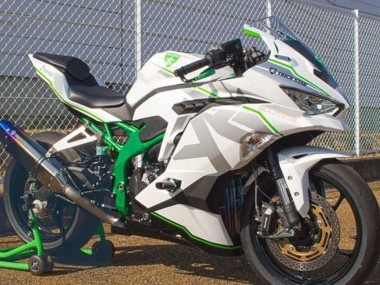 Purchase 2019-2025 Kawasaki ZX25R ZX-25R Motorcycle Fairings - White Silver Green Australia